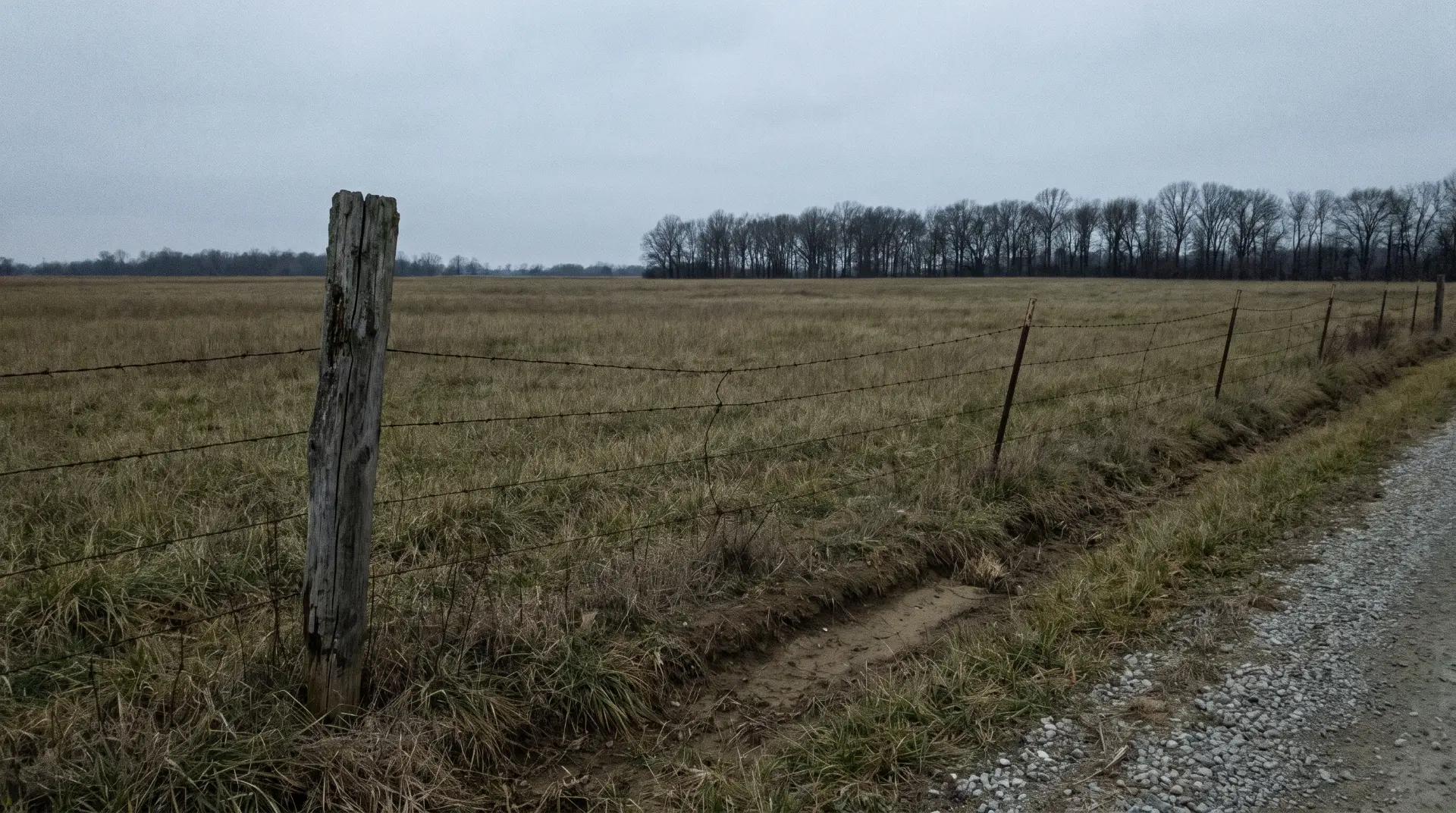 An empty rural parcel seen from a gravel county road in autumn, with no structures and no driveway cut